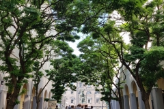 Excursion Nikolaiviertel